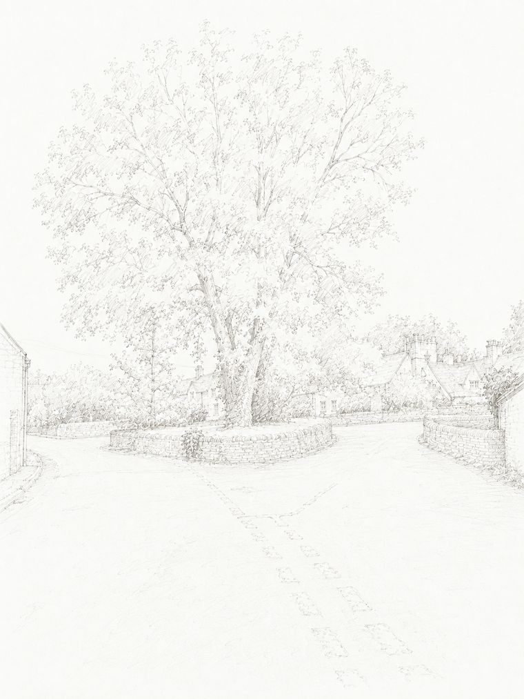 Sketch of step 7: When you reach the big tree, keep right.