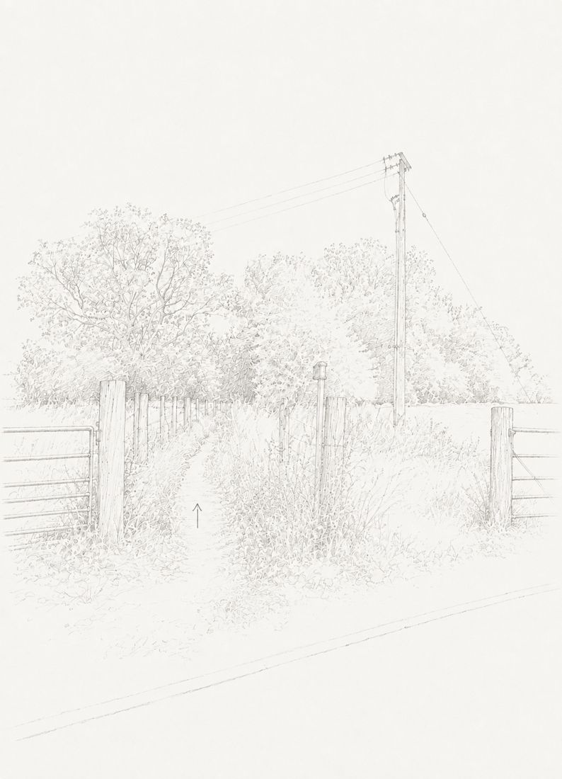 Sketch of step 5: Cross Crawley Bridge. A little after the bridge, turn left onto the field path.