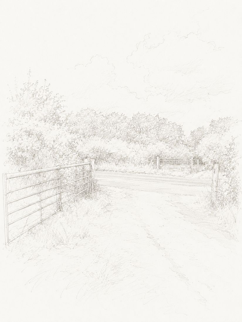 Sketch of step 7: Cross the road, go through the next gates and continue through the meadow and woods.