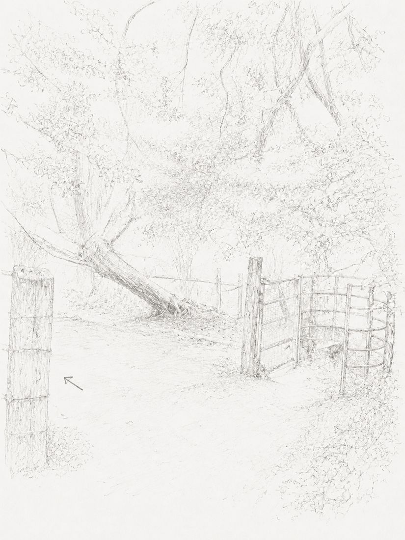 Sketch of step 8: At the end of the woods, take the gate on the left. Follow the hedgerow across the field.