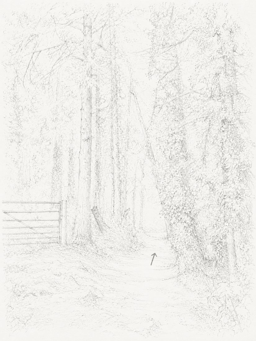 Sketch of step 11: Continue along the path through the woods. Keep right toward the footbridge.
