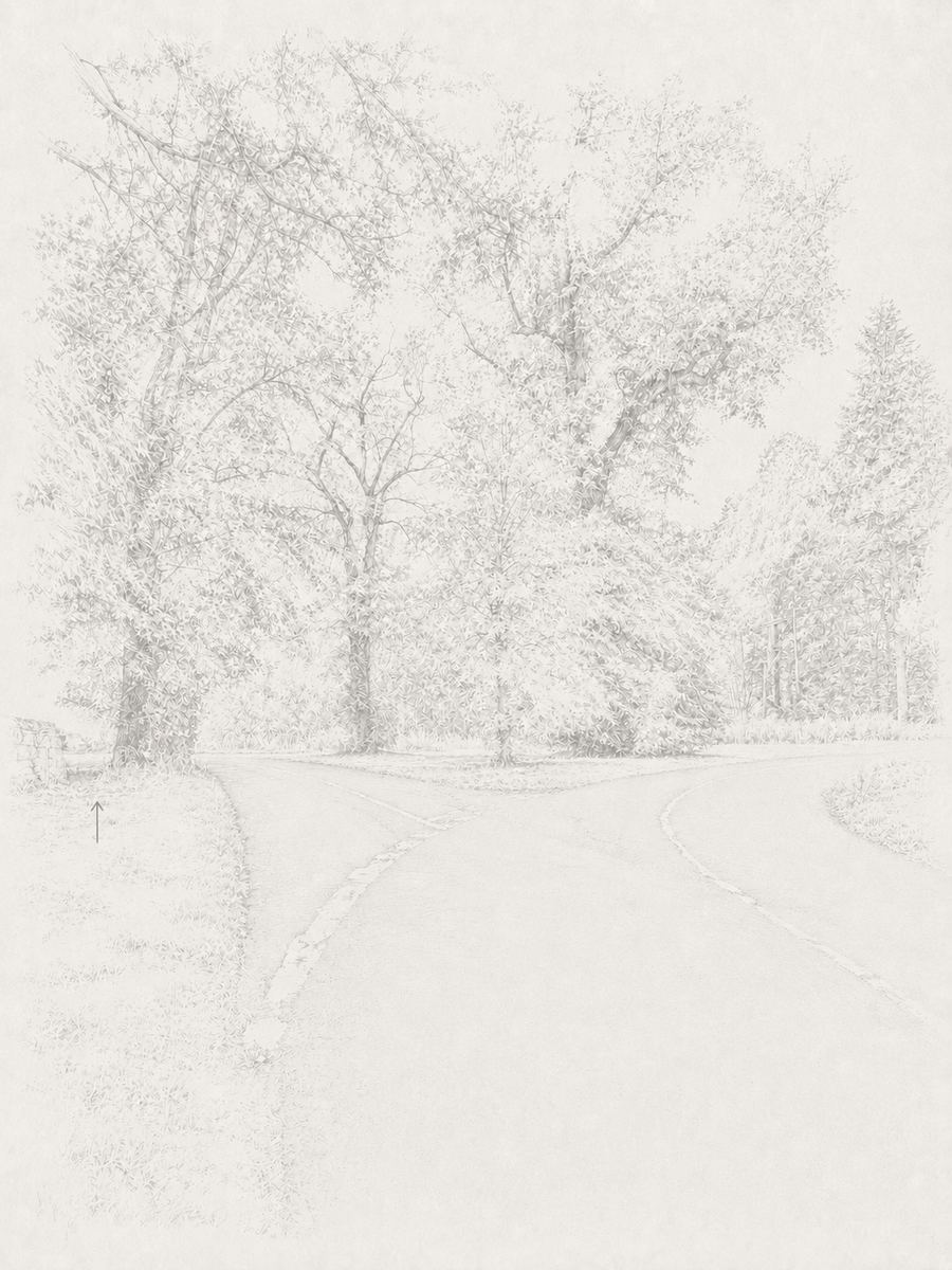 Sketch of the fork in the road