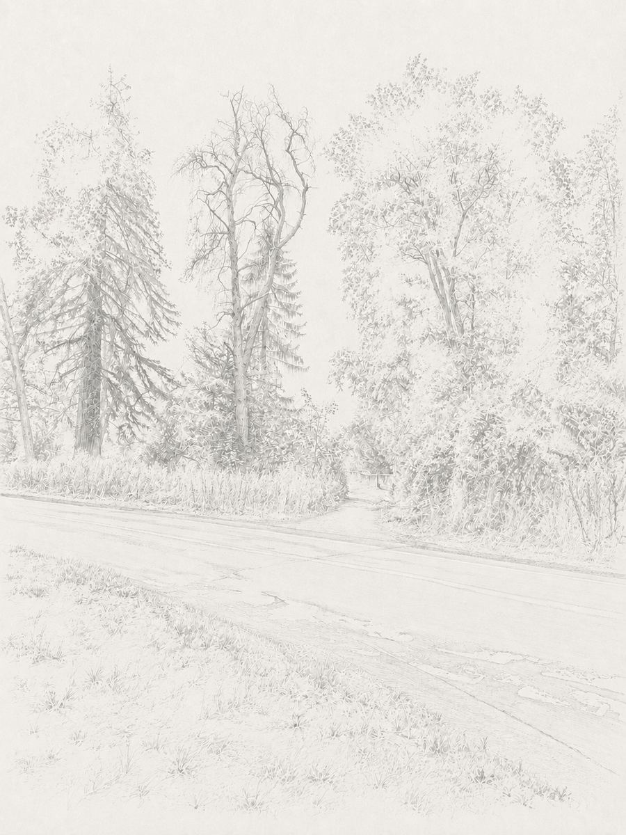 Sketch of the opening opposite the road