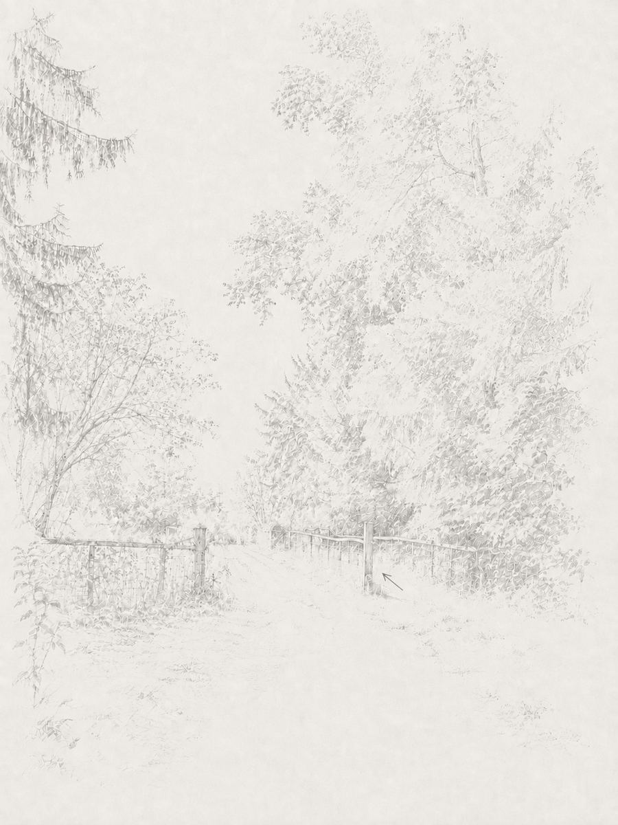 Sketch of the footpath into the field