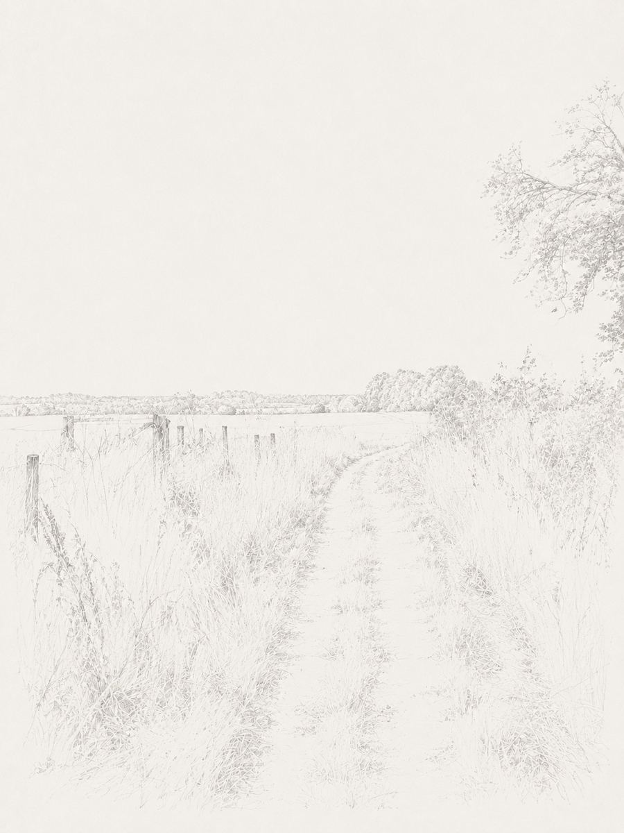Sketch of the field edge running downhill