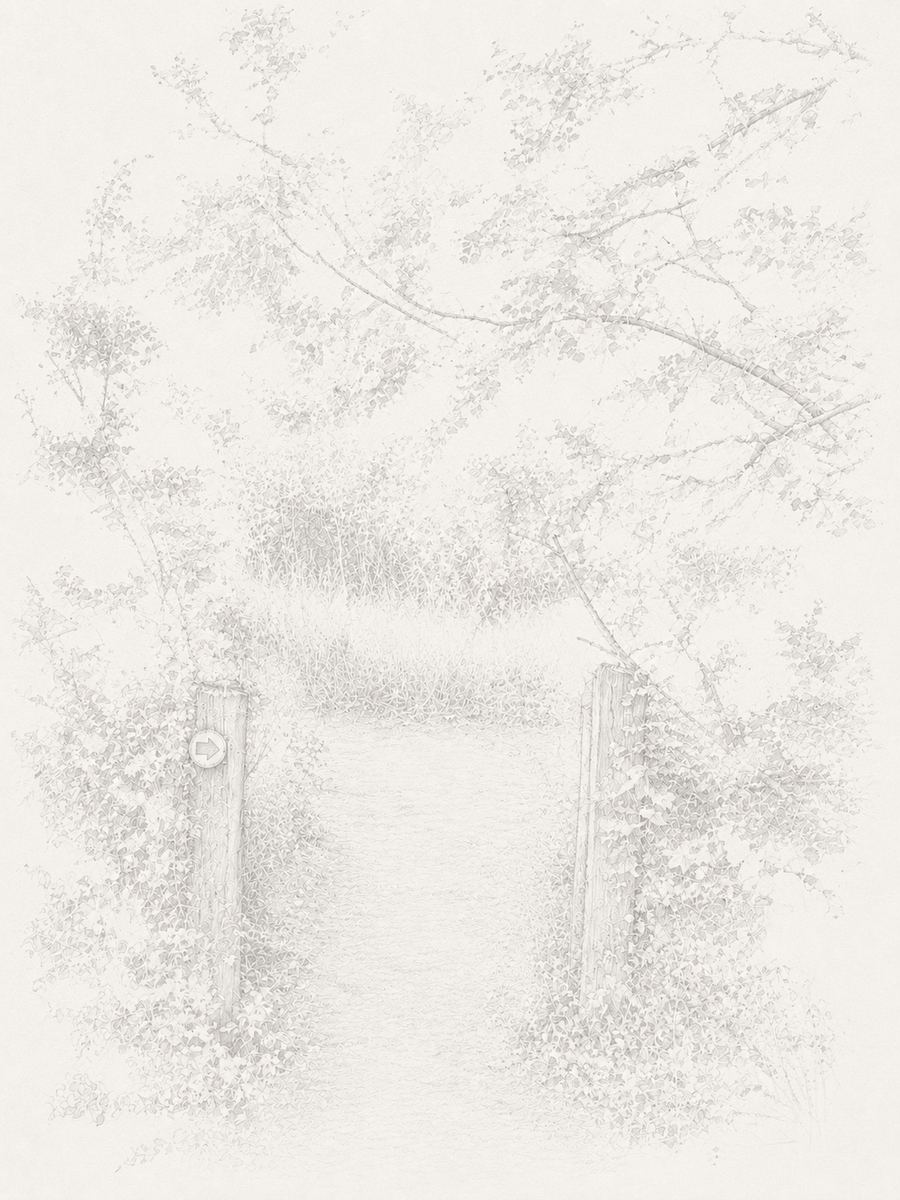 Sketch of the fork by the bird hide