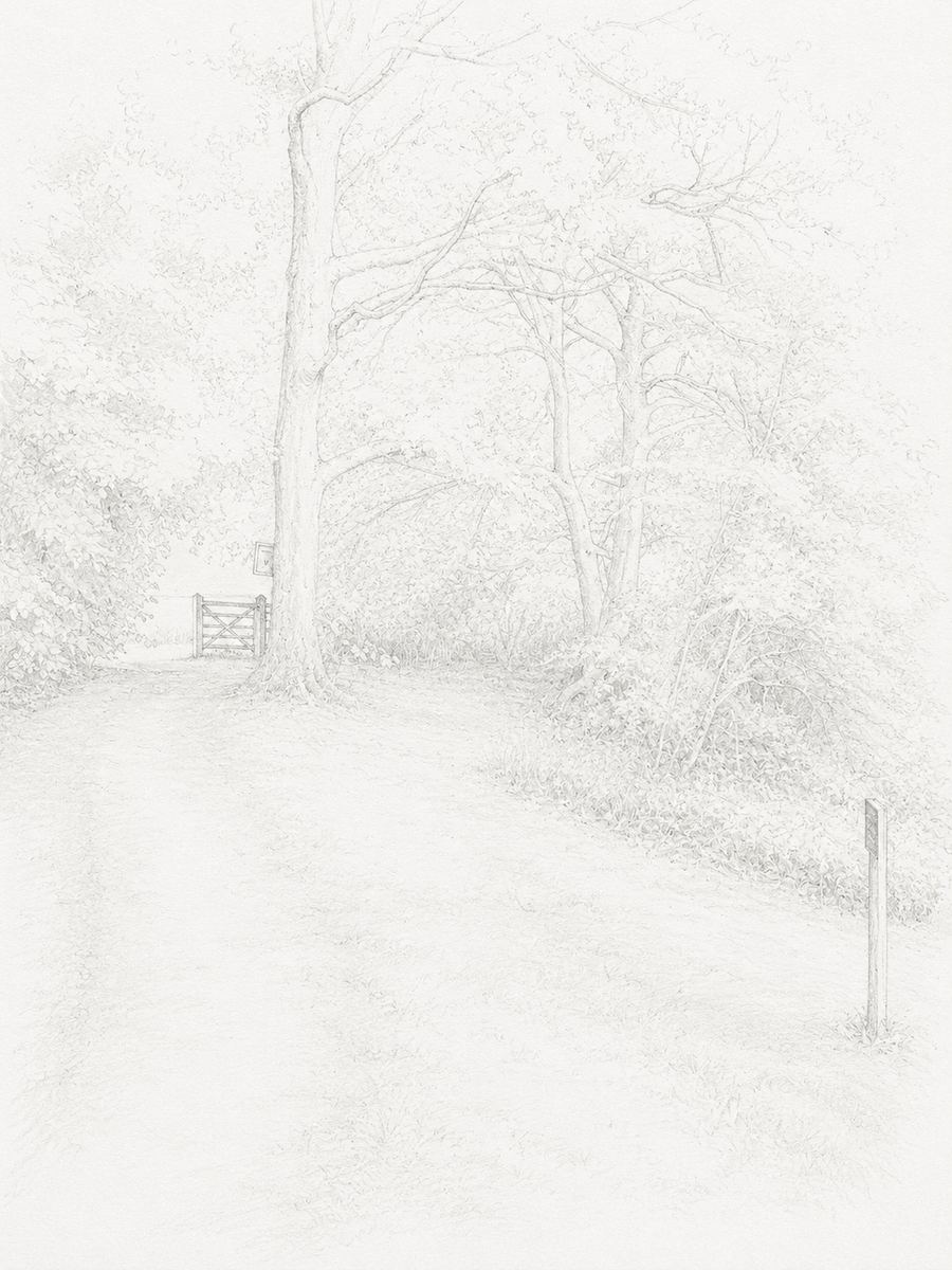 Sketch of the wooden gate at the end of the garden