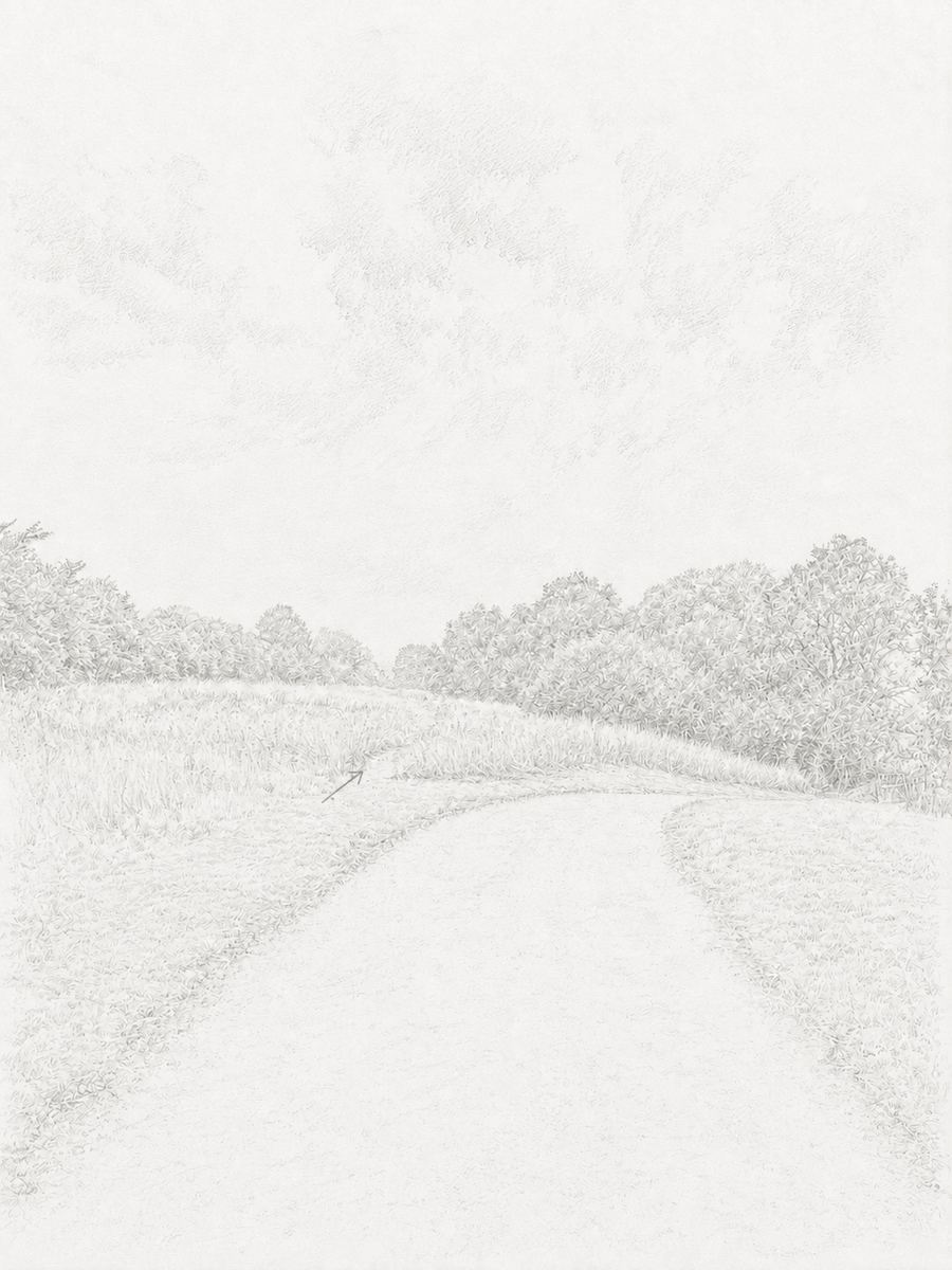 Sketch of the paved path and the turning into the field